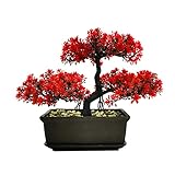 MOVKZACV Künstliche Bonsai-Baumdekoration für Eingangsbereich, Schlafzimmer, Ästhetisch und Bauernhaus, Badezimmer, Bücherregal, Zimmer, Schreibtisch, Dekoration, 28 x 21,8 cm, Rot