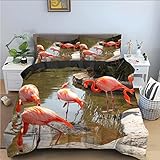 Bettwäsche 135x200cm Flamingo Mikrofaser Bettbezug, Weicher und Bequemer Bettwäsche-Sets mit 2 Kissenbezug 80x80cmPassend für Damen Jungen Kinder Einzelbett