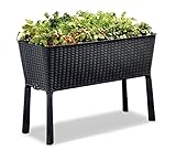 Keter Easy Grow modernes Hochbeet, grau, inkl. Bewässerungssystem, Rattanoptik, passend für Balkon, Terrasse oder Garten