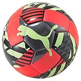 Puma Park Football Ball 4