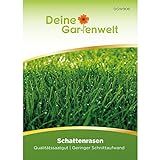 Schattenrasen 45 g Samen - Schattenrasensamen - Rasensamen - Nachsäpackung Saatgut für Rasen