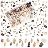 PandaHall Muscheln, 466pcs 15 Stil Spiral Muschel Perlen Ungebohrt Kleine Natürliche Ozean Miniatur Für Harz Kerze Party Hochzeitsdeko Aquarium Vasenfüller, Kein Loch