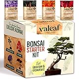 valeaf Bonsai Starter Kit I Bonsai Anzuchtset Geschenk für deinen Bonsai Baum I Zimmerpflanzen Anzuchtset inkl. 4 Sorten Bonsai Samen, Zubehör u. Bonsai-Schale I Saat Geschenk zum Baum pflanzen