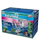 JBL BabyHome Oxygen 6432000, Premium-Ablaichkasten, Komplettset mit Luftpumpe, 1 Stück (1er Pack)