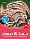 Gräser und Farne: Die schönsten Arten für sonnige & schattige Beete: Die schönsten Arten für sonnige und schattige Beete. Gestaltungsbeispiele für jeden Standort