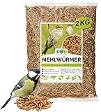 EWL Naturprodukte Mehlwürmer getrocknet 2kg entspricht 13ltr. Insektensnack für Vögel, Fische, Schildkröten, Nager und Reptilien