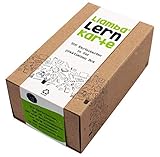 Liamba Lernkarte | 500 Karteikarten in der praktischen Lernbox | DIN A8 Format | 7,4 x 5,2 cm | 190g | liniert | FSC | Karteikasten aus Recyclingkarton | in Deutschland hergestellt