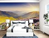 Berge Berglandschaft Hügel TV Wandbild Tapete Wanddekoration fototapete 3d Vlies wandbild Schlafzimmer-350cm×256cm