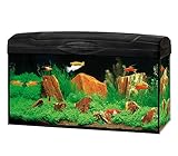 Dehner Gute Wahl Aquarium Starterset Scout mit LED-Beleuchtung, ca. 60 x 30 x 30 cm, 54 l, Glas/Kunststoff, transparent/schwarz