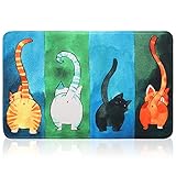 Fußmatte Katze rutschfest Funny Waschbar Schmutzfangmatte Fussmatte Aussen für außen/innen saugstarke Personalisierte Fußmatte Langlebig kurz Plüsch mit Wolle Filz (80 x 50 cm)