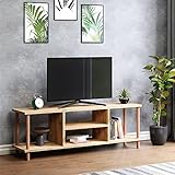 [en.casa] TV Schrank Ærøskøbing mit 2 Ablagefächern TV Bank 43 x 120 x 29 cm Fernsehtisch mit 2 Staufächern Lowboard TV Möbel Fernsehschrank Holzoptik