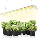 LED Pflanzenlampe Spider Farmer SF600 LED Grow Lampe Vollspektrum Grow Light Wachstumslampe für Zimmerpflanzen mit Reflektor Pflanzenleuchte Pflanzenlicht für Innen Gartenarbeit Gemüse Blume 384 LEDs