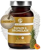 QIDOSHA Papain Bromelain Kapseln I 90 Stk I Papain Enzym Papaya-Kapseln I Papaya Enzym I Ananas Papaya Enzyme I Verdauungsenzyme mit 320 mg Bromelain Papain je Tagesdosis I vegan