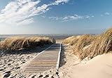 Fototapete Meer 366cm x 254cm inklusive Kleister Meer Strand Sonne Dünen Steg Ocean Way Weg Ostsee Nordsee Tapete