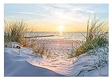 Wallarena Fototapete Strand Meer 3D Nordsee Dünen Sonne Panorama Natur Modern Wohnzimmer Schlafzimmer Wandtapete Vlies Tapete UV-Beständig Montagefertig (14020, V8 (368x254 cm) 4 Bahnen)