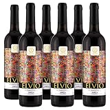 BACCYS Wein Set ELVIO Rotwein 6x 0.75 l, Jahrgang 2018, Rotwein trocken aus Spanien, Monastrell, Jumilla D.O.P.