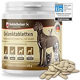 Veddelholzer VERGLEICHSSIEGER 2020 Hunde Gelenktabletten mit Grünlippmuschel Hund MSM & Teufelskralle Glucosamin & Kollagen 125 Kapseln Hunde Leckerlis mit Hyaluron & Omega3