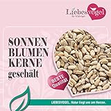 geschälte Sonnenblumenkerne 10kg für Wildvögel Beste Premiumqualität