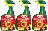 Celaflor 3 X 800 ml Schädlingsfrei Careo Rosenspray rot