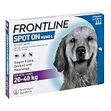 Frontline Spot on Hund L, 3 St