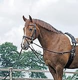 BUSSE Dreieckszügel BASIC