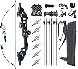 Monleap Archery 51' Takedown Recurve Bogen und Pfeil Set für Erwachsene Rechtshänder Langbogen Kit Metall Riser für Anfänger Schießübungen (Silber 40lb)