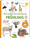 Mein großes Geräuschebuch – Frühling: Mit 43 Sounds | Hochwertiges Soundbuch mit realistischen Sounds für Kinder ab 24 Monaten