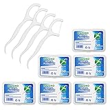 Zahnseide Sticks,Einwegzahnseide Dental Floss Zahnpflege Interdental Flosser mit tragbarem Reiseetui und Zahnstocher, perfekt für Familien, Hotels und Reisen (300 Stück)