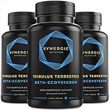 Beta Ecdysteron + Tribulus Terrestris Hochdosiert - Muskelaufbau Fitness Booster von Synergie Nutrition | 60 Tagesdosen | 95% Ecdysteron + 85% Saponinen