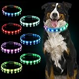 LED Leuchthalsband Hund Aufladbar Hundehalsband: YOYIAG Leuchtend Einstellbare Hunde Leuchthalsband Wasserdicht Leuchthalsband Hund Klein Zubehör Blinklicht Hundelicht - Pet Lampe