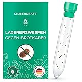 Silberkraft Lagererzwespen - Nützlinge gegen Brotkäfer, Kornkäfer und weitere Vorrats- und Materialschädlinge - chemiefreie Alternative zu Pestiziden