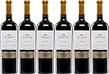 6x Pleno Syrah Edición Limitada 2020 - Bodegas Agronavarra, Navarra - Rotwein