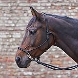 WALDHAUSEN Knotenhalfter mit Zügel Pony, schwarz