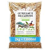 Meerbach & Rose Mehlwürmer getrocknet, 2kg (entspricht 13 Litern) getrocknete Mehlwürmer, proteinreicher Snack für Wildvögel, Fische, Reptilien und Nager