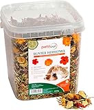 petifool Nager-Ergänzungsfutter 'Bunter Herbstmix', natürliches und gesundes Kaninchenfutter, 1er Pack (1 x 650 g)