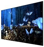 celexon Heimkino- und Business-Rahmen-Leinwand für Ultra-Kurzdistanz-Projektoren - 100'- 220x124cm - hochreflektierend Gain 0,6 - 4K UHD- Active 3D