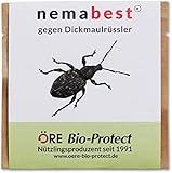 nemabest® HB Nematoden zur Bekämpfung des Dickmaulrüsslers - 10 Mio. für 20m²