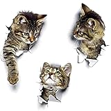 WandSticker4U®- 3x 3D KATZEN zum Kleben I Wandsticker Wandtattoo Katze selbstklebend I Wand Deko Tier Küche Bad WC Toiletten-Deckel Möbel Tür- & Kühlschrank-Aufkleber