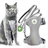 MC-Royal® Premium Katzengeschirr [inkl. Leine für Katzen] - Größenverstellbares Geschirrset für Katzen mit Leine - Katzengeschirr - Cat Harness - ausbruchsicheres Katzengeschirr