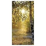 Deco Woerner Hochwertiges Herbst Stoffbanner ,,Herbstbirken' 100 x 200 cm braun Deko-Banner Textil-Banner Dekoration Banner Wanddeko schwer entflammbar, Gelb