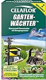 Celaflor 1354 Gartenwächter Wasserstrahl Tiervertreiber mit Bewegungssensor zur Vertreibung von Katzen, Hunden, Reihern, Hasen/Kaninchen, Rehen, Mardern und Füchsen, 1 Stück