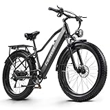 CEAYA Elektrofahrrad,E-Bike für Herren und Damen,26''E-Mountainbike,48V20AH E Fahrrad,Mit 7-Gänge Elektro Fahrrad