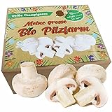 XXL Bio Champignon Komplettset 10kg - Pilze selber züchten