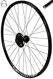 Redondo 28 Zoll Hinterrad Laufrad Felge Schwarz Disc + 8-Fach Shimano Kassette