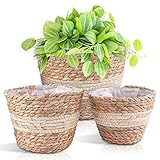 Herefun 3er Set Pflanzkorb Blumenkorb Geflochten, Korb Geflochten 3 Farben, Pflanztopf Seegras Korb Pflanzkorb, Blumentopf Rund Übertöpfe, Korb Geflochten für Home Decor (3 Größe)