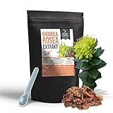 Rhodiola Rosea Rosavin EXTRAKT 100g Salidrosid PULVER Rosenwurz ohne Zusatzstoffe (Pulver 100g)