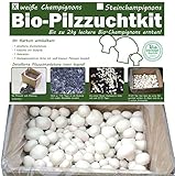 Bio Champignon Komplettset 5kg - Pilze selber züchten