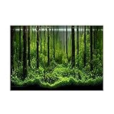 Aquarium Hintergrund Aufkleber, Haofy PVC Klebstoff Aquarium Poster mit Unterwasser Meeresboden Waldmuster, Fish Tank Hintergrund Dekoration Papier für Aquarium Dekoration