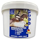 Mineralfutter Pferde Vitamin b komplex I Biotin Mangan Zink Pferd I Selen Pferd Vitamin D A C B12 I Mineralien Magnesium Pferd I Vitamin E Pferd I Bierhefe Pferd I Biotin Zink Selen hochdosiert 5Kg