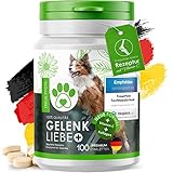 TreuePfote® Gelenktabletten für Hunde I Revolutionäre Formel aus Deutschland I Grünlippmuschelpulver, Teufelskralle, Glucosamin & MSM I Hohe Akzeptanz beim Hund I 100 Tabletten = 6 Monate